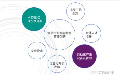 萬(wàn)界星空科技MES系統(tǒng)在食品加工行業(yè)的創(chuàng)新應(yīng)用與計(jì)算機(jī)軟硬件技術(shù)開(kāi)發(fā)